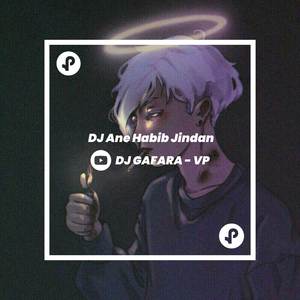 DJ Ane Habib Jindan