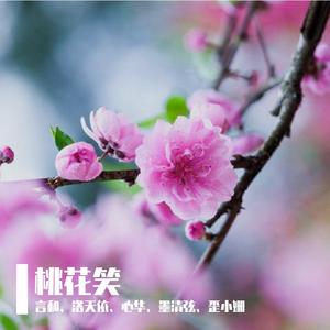 桃花笑（言和、洛天依、心华、墨清弦）