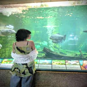 我将与雅典娜一同前往迎接你们