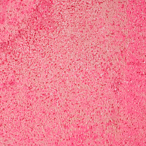 인터스텔라 (Feat. 버벌진트) (Prod. by Benny Bennefit)