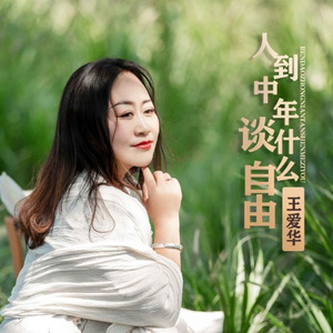 人到中年谈什么自由 (DJ默涵版)