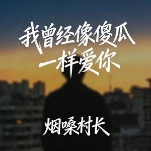 我曾经像傻瓜一样爱你