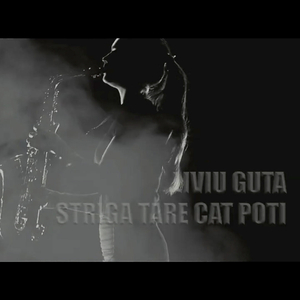 Striga Tare Cat Poti