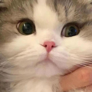 爱的抱抱