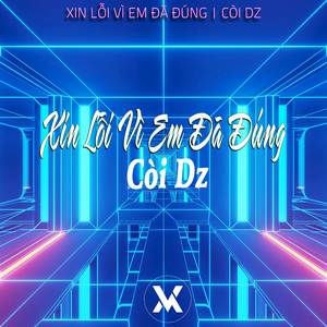 Xin Lỗi Vì Em Đã Đúng