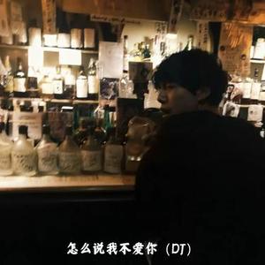 怎么说我不爱你 (DJ)