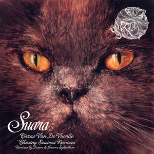 Chasing Autumns (Dosem Remix)