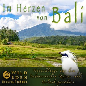 Munduk Regenwald (Hypnotisierende TropenatmosphÃ¤re mit Grillen) [Alle Titel sind GEMA Frei fÃ¼r Massage Meditation Spas Praxen und WarterÃ¤ume]