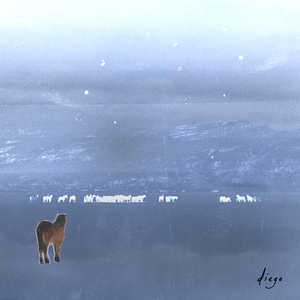 보글보글 (2022 remastered)