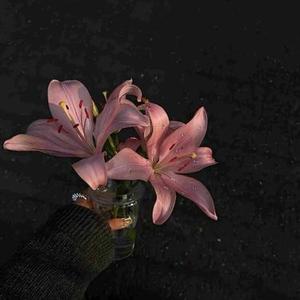 归零  (纯音乐氛围版) (Cover 魔鬼花园_李安健)