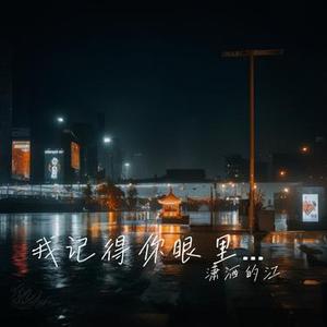 我记得你眼里的依恋 (Cover 万芳)