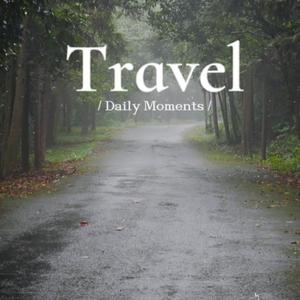 Raining in the forest