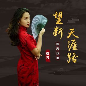 望断天涯路 - 张芮 伴奏