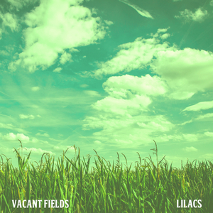 Lilacs
