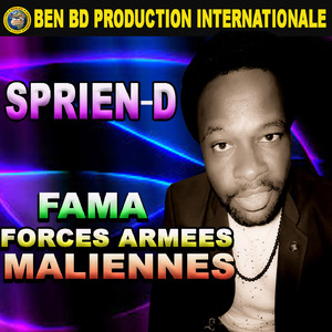 Fama Force Arme Maliennes