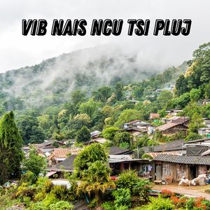 Vib Nais Ncu Tsi Pluj