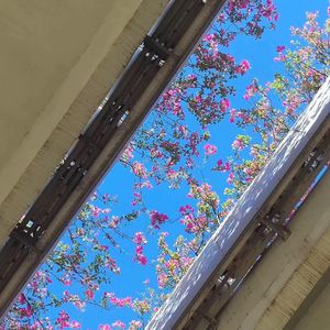 【Free】“至若春和景明 波澜不惊”-d4vd x Joji Type Beat