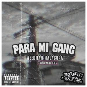 Para Mi Gang (feat. Weedman Malacopa)