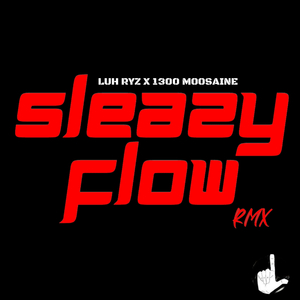 Sleazy Flow (feat. 1300 Moosaine) (Remix)