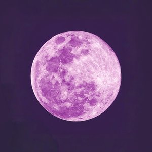 Good Night