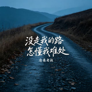没走我的路怎懂我难处