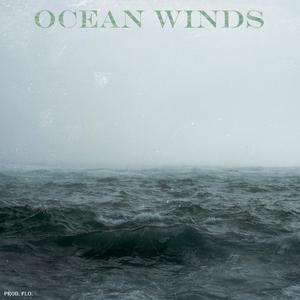 Ocean Winds