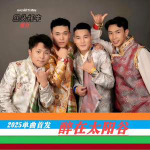 醉在太阳谷-四头牦牛 (Remix)