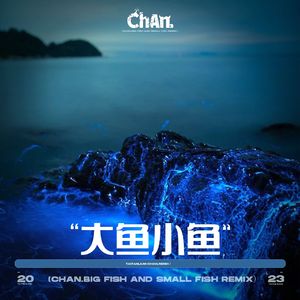 大鱼小鱼