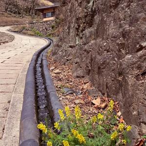 인생은 나그네야