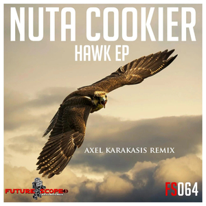 Hawk (Axel Karakasis Remix)
