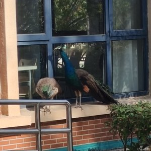 我们不再是从前（可乐觉得有点次版）