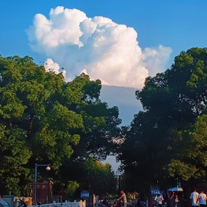 等等风（女声cover）