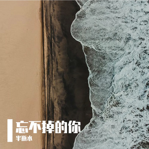 难以忘记你
