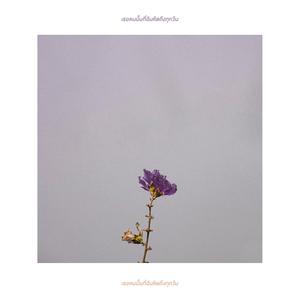 ฉันเหม่อมองดอกไม้ดอกนี้มานาน แต่ทำได้เพียงแค่ทักทายด้วยสายตา