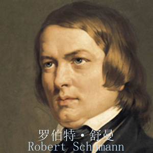 舒曼《克莱斯勒偶记》No.3