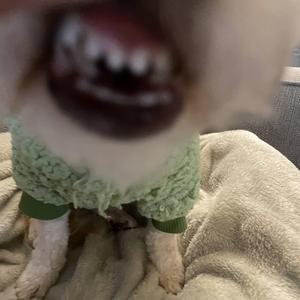 Power is Your Independence