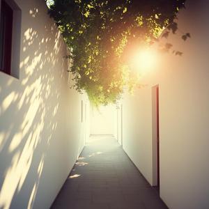 바람이 속삭이는 날 (The Day the Wind Whispered)