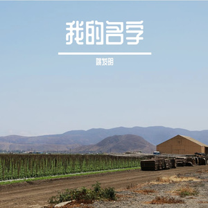 我的名字