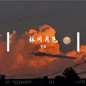 林间月色