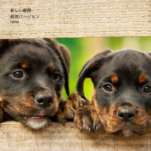 新しい展開 (病院の待合室のようなオルゴールBGMバージョン)