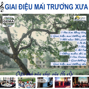 Hoa tim bang lang