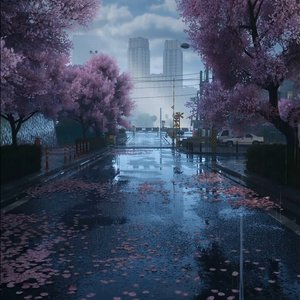 代码与心跳