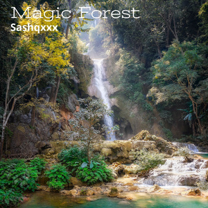 Magic Forest