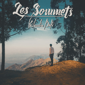 Les sommets