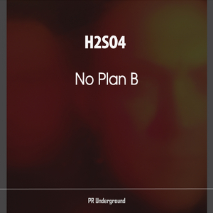 No Plan B (David Noakes Remix)