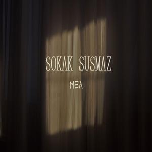 Sokak Susmaz