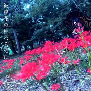 彼岸花の枯れる頃に