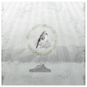 Birthrights (Instrumental)