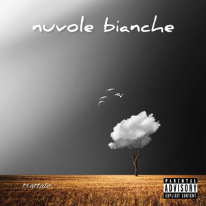 raffiche (feat. bussø)