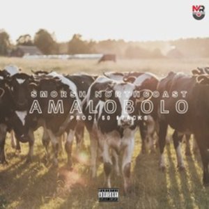 Amalobolo